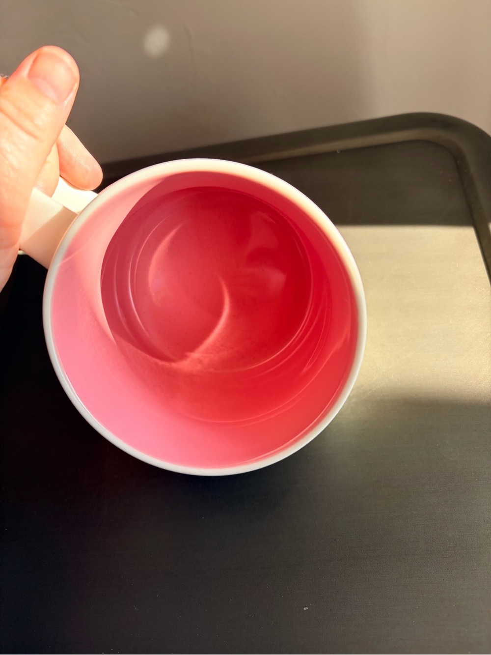 Starbucks Been There Series Florida Across the Globe Mug 14 fl oz Pink Interior - Picture 4 of 5